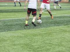 Vitality,荣膺年度电,竞之星,星空体育平台,星空体育官方网站,星空体育登录入口,星空体育app下载