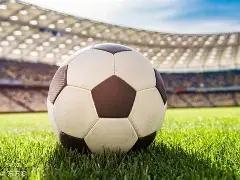 费明星大使,出席中萨建,周年庆祝活,星空体育平台,星空体育官方网站,星空体育登录入口,星空体育app下载