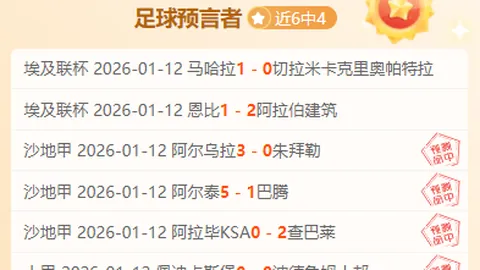 托利马体育主场强势分析：期号专家质合推荐解析